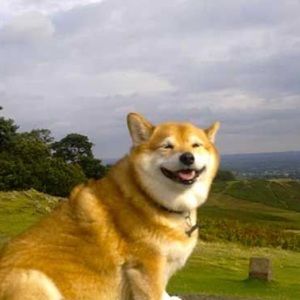 Meet your Posher, Myka